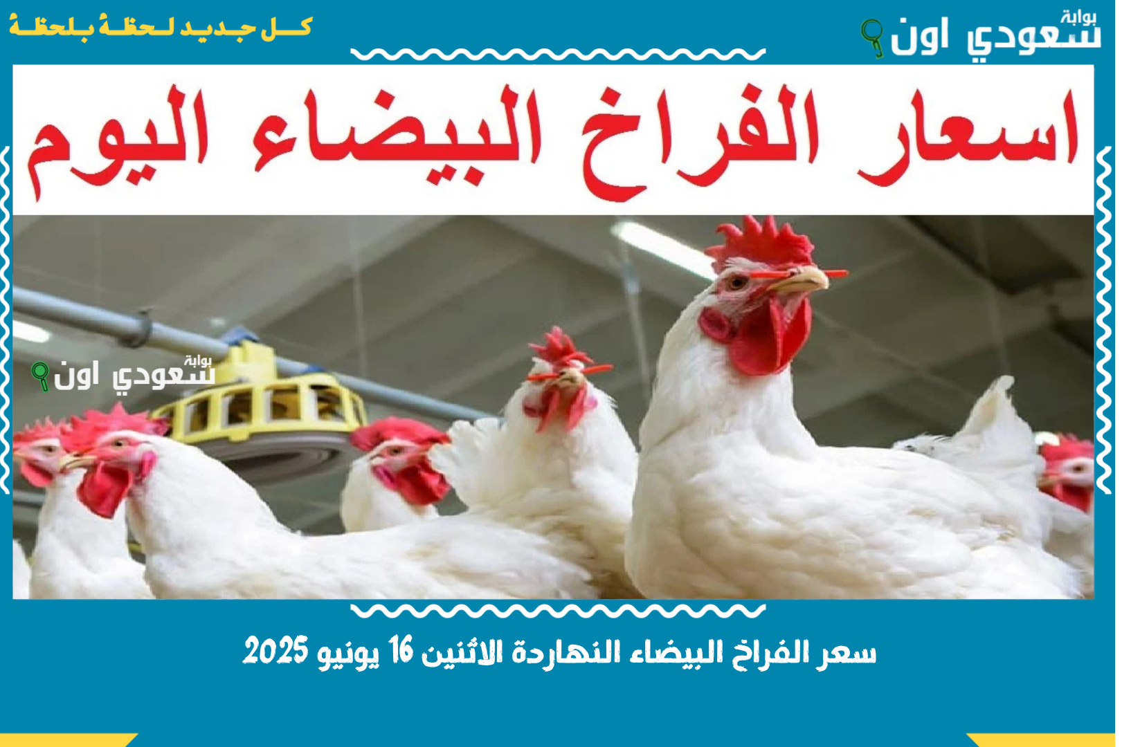 سعر الفراخ البيضاء النهاردة الاثنين 16 يونيو 2025